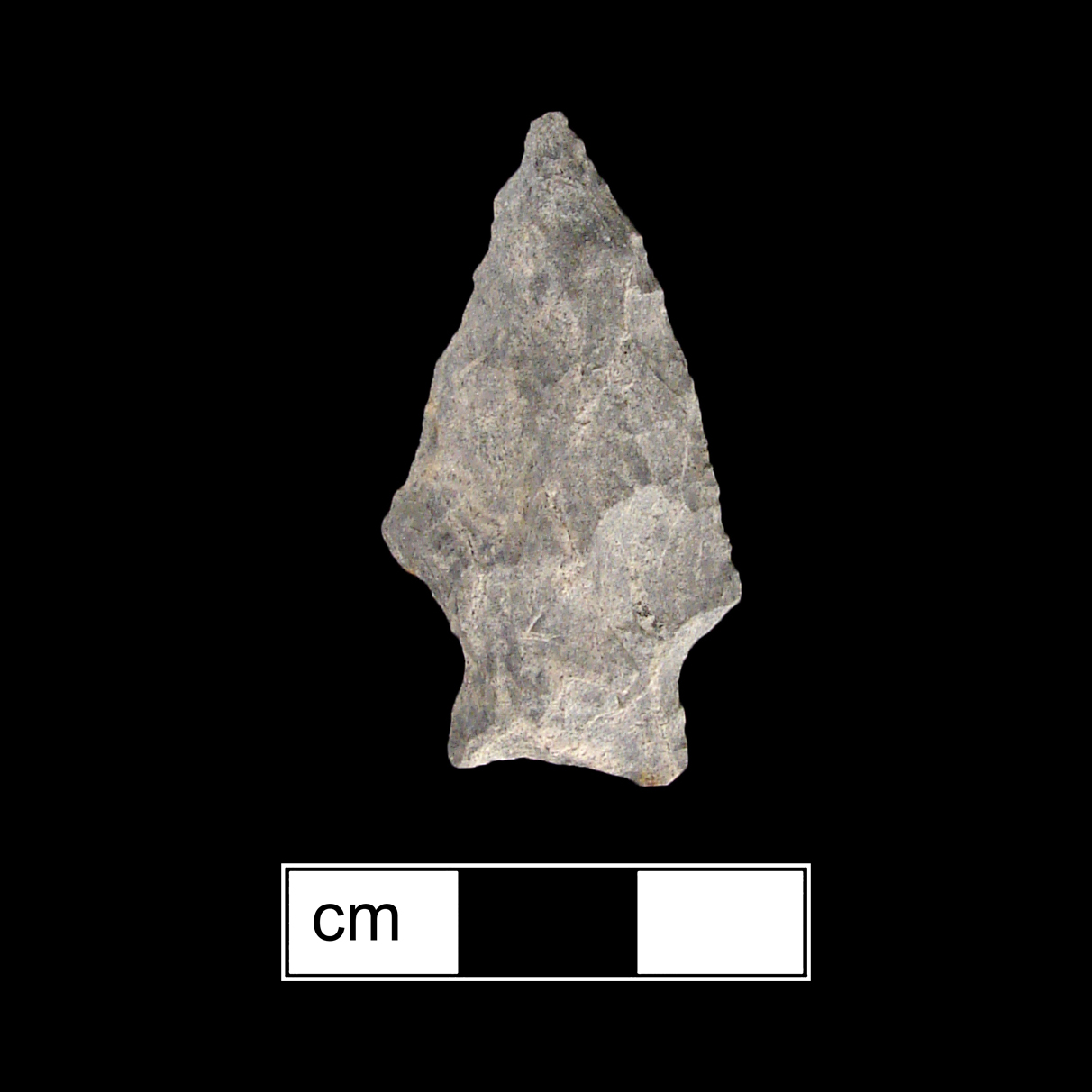 Image of stone projectile point made of Rhyolite, Stemmed shape, with a Expanding stem, Straight blade, and Concave base shape. Fishtail type.