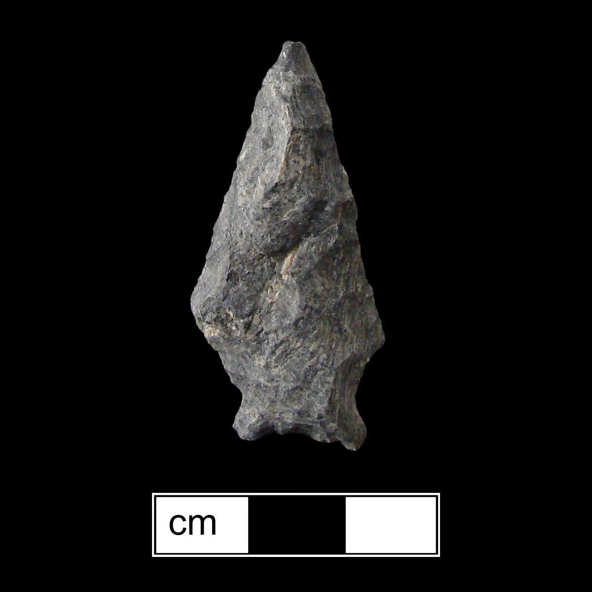 Image of stone projectile point made of Rhyolite, Stemmed shape, with a Expanding stem, Straight blade, and Concave base shape. Fishtail type.