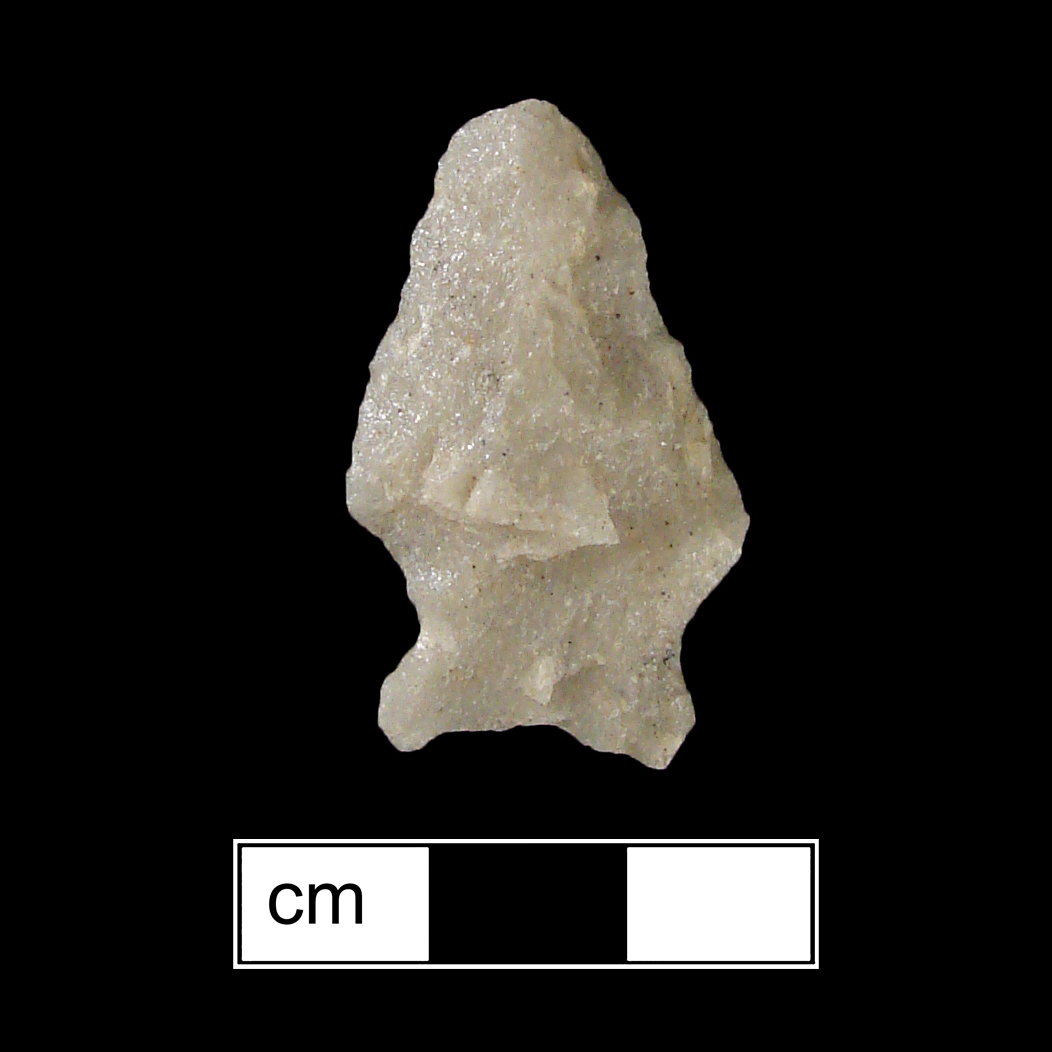 Image of stone projectile point made of Quartzite, Stemmed shape, with a Expanding stem, Excurvate blade, and Concave base shape. Fishtail type.