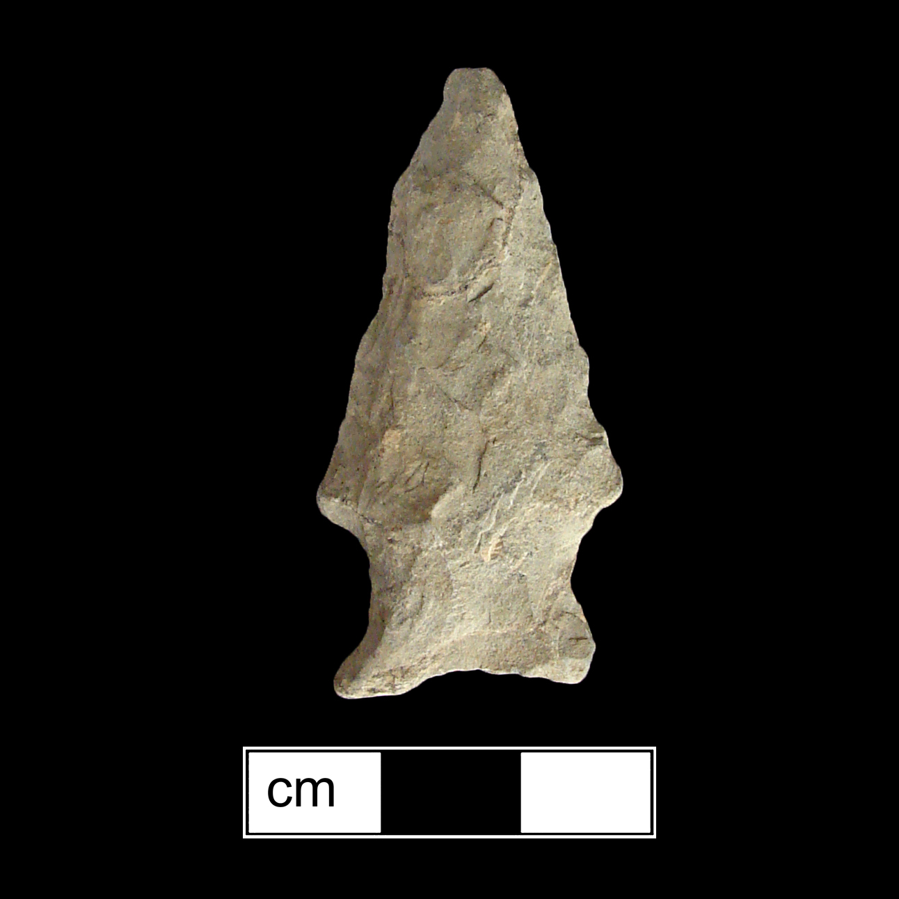Image of stone projectile point made of Argillite, Stemmed shape, with a Expanding stem, Straight blade, and Concave base shape. Fishtail type.