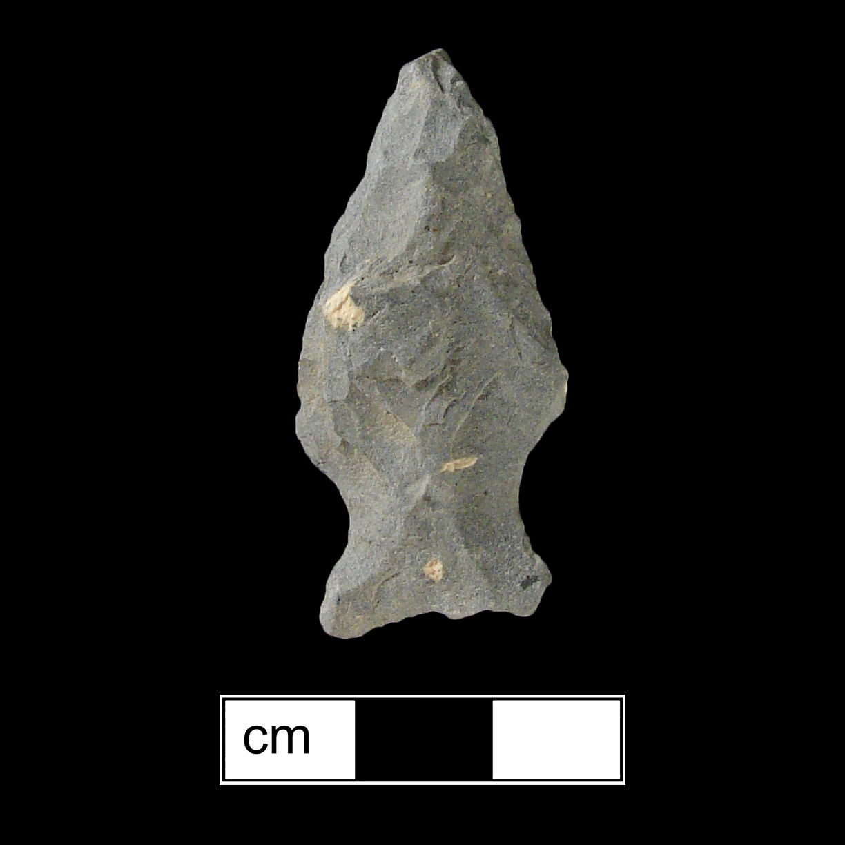 Image of stone projectile point made of Rhyolite, Stemmed shape, with a Expanding stem, Excurvate blade, and Straight base shape. Fishtail type.