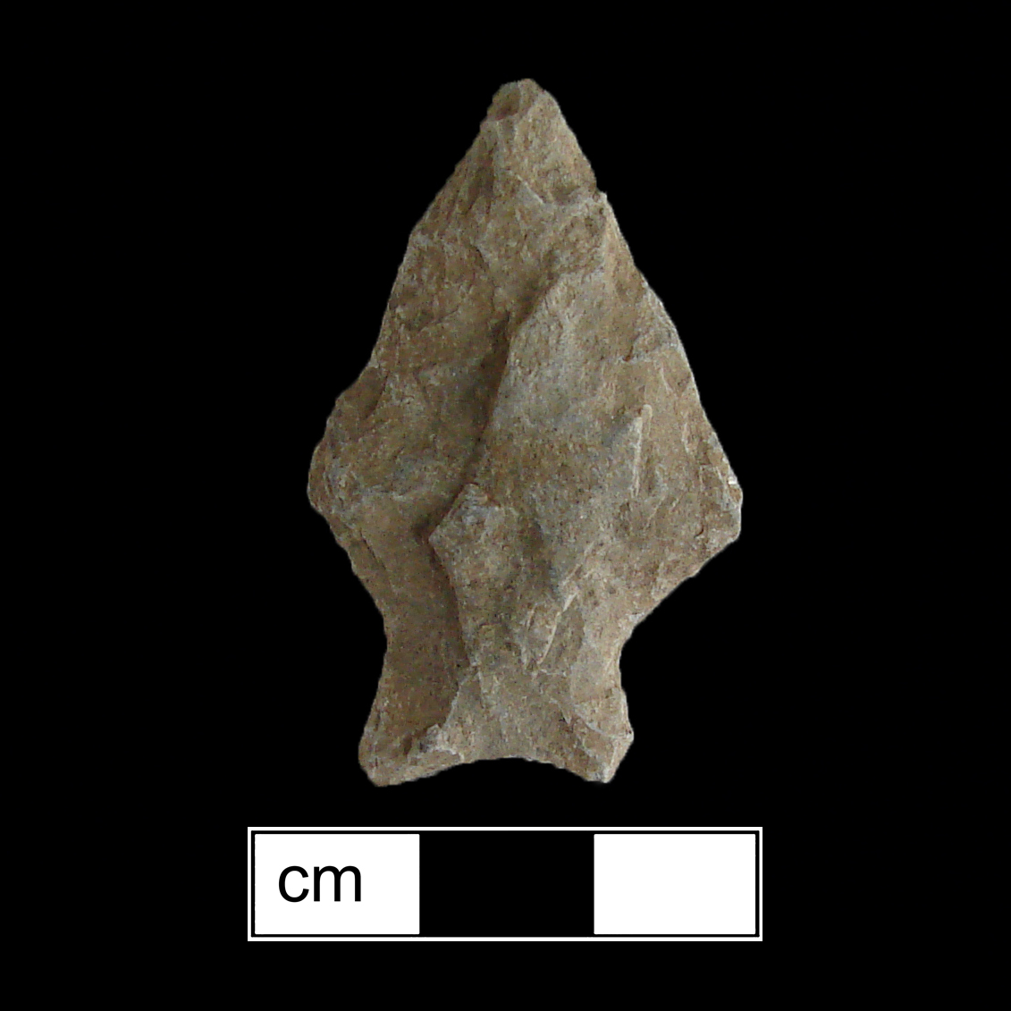 Image of stone projectile point made of Argillite, Stemmed shape, with a Expanding stem, Straight blade, and Concave base shape. Fishtail type.