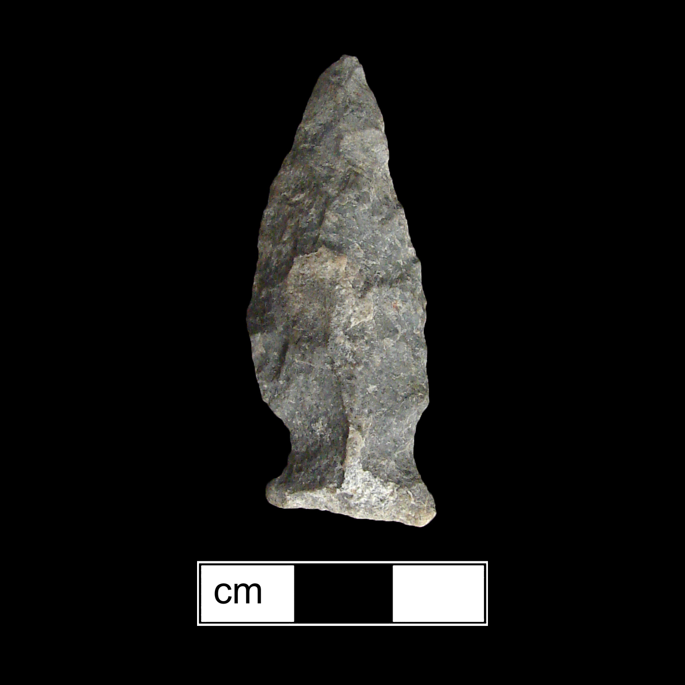 Image of stone projectile point made of Rhyolite, Stemmed shape, with a Expanding stem, Excurvate blade, and Straight base shape. Fishtail type.