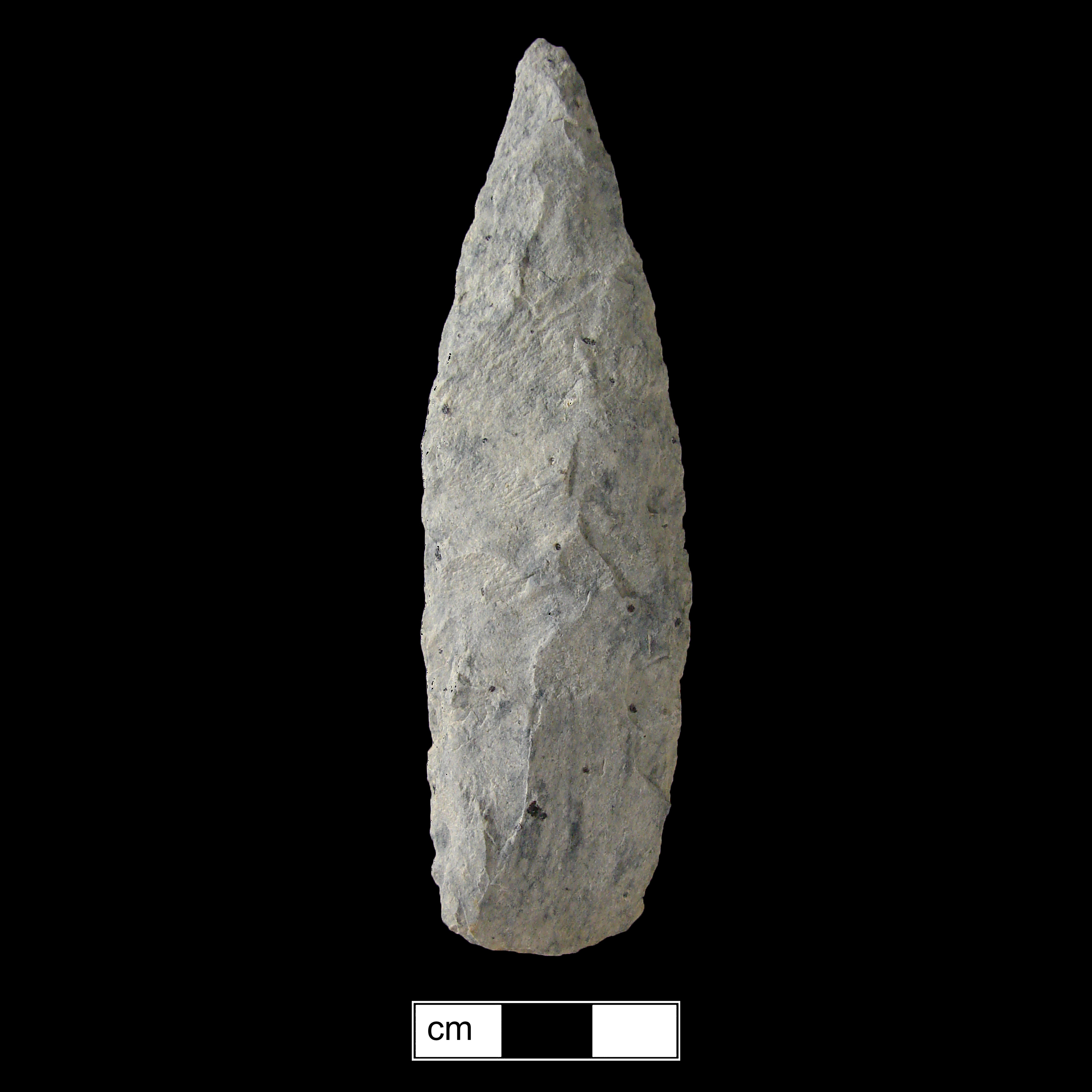 Image of stone projectile point made of Rhyolite, Lanceolate shape, with a N/A stem, Excurvate blade, and Convex base shape. Guilford type.