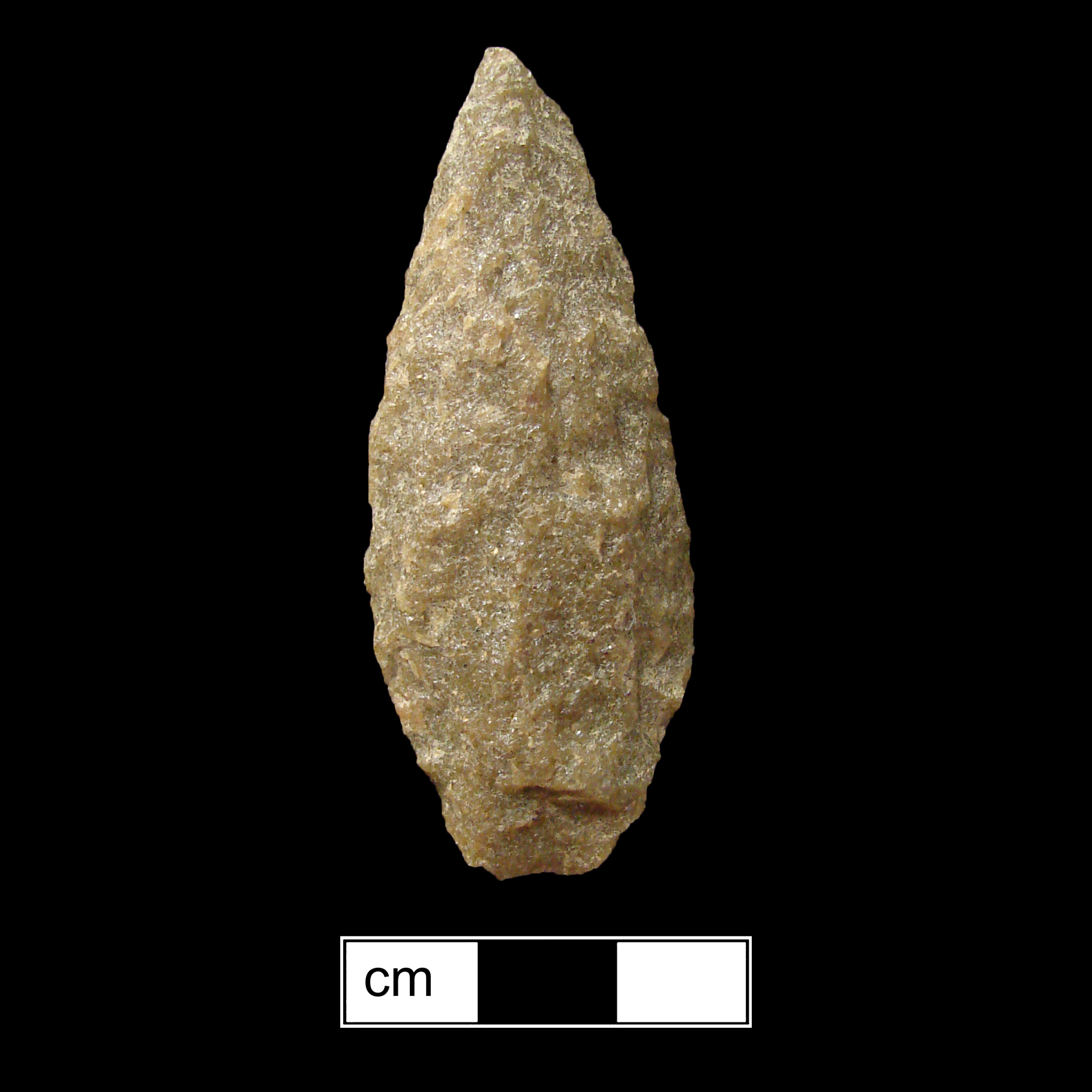 Image of stone projectile point made of Quartzite, Lanceolate shape, with a contracting stem, Excurvate blade, and Straight base shape. Guilford type.