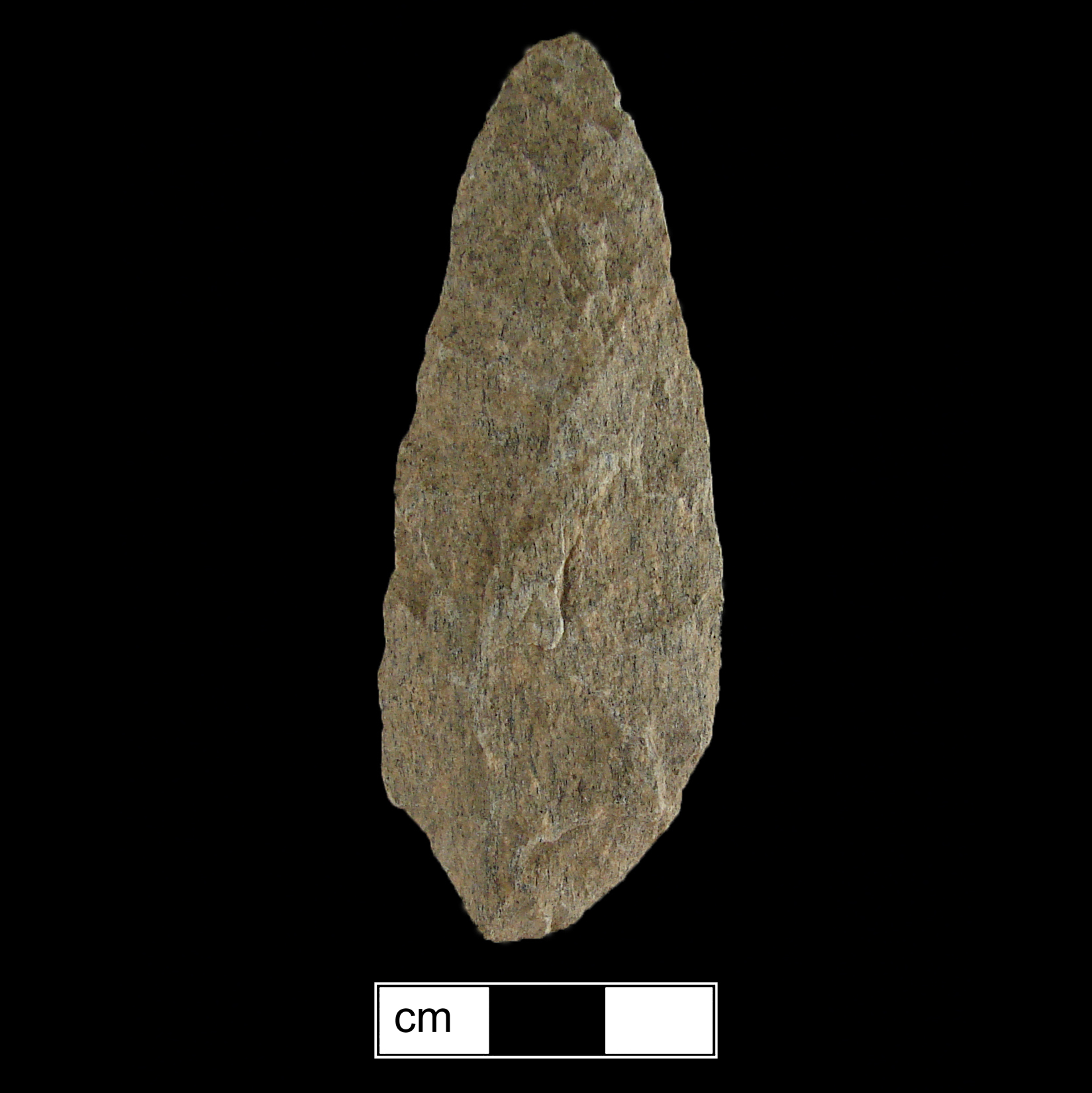 Image of stone projectile point made of Quartzite, Lanceolate shape, with a contracting stem, Excurvate blade, and Convex base shape. Guilford type.