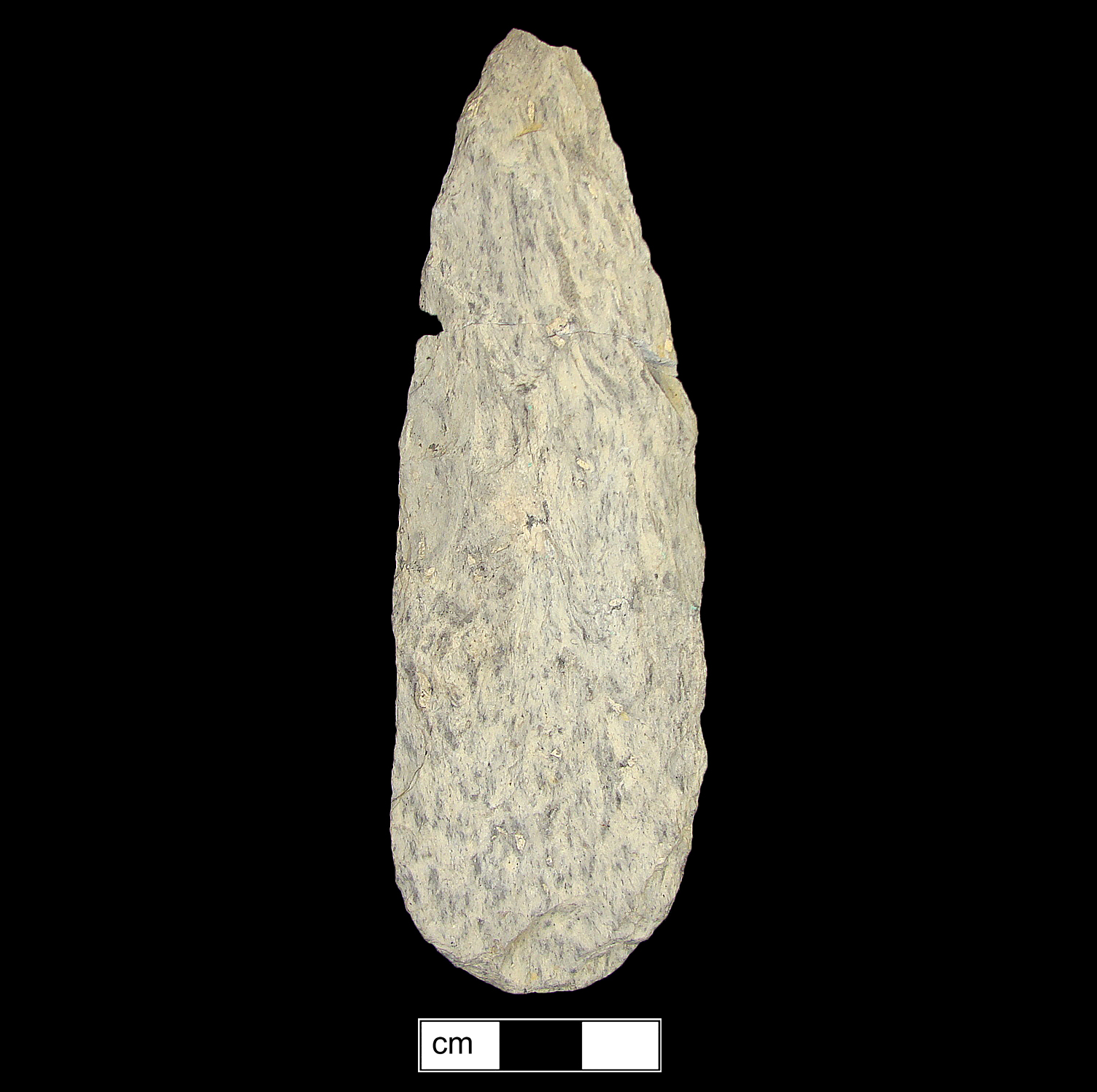 Image of stone projectile point made of Rhyolite, Lanceolate shape, with a N/A stem, Excurvate blade, and Convex base shape. Guilford type.