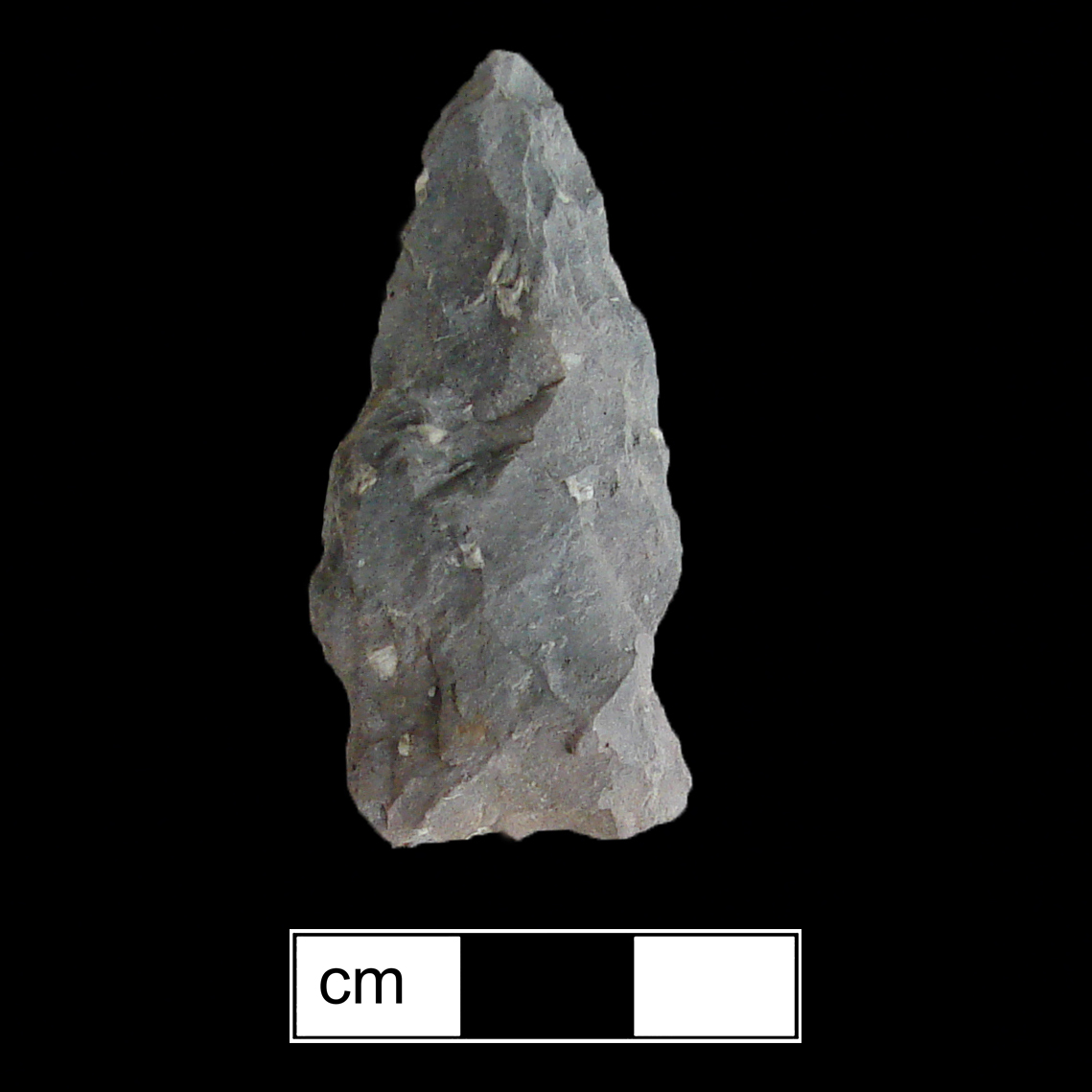 Image of stone projectile point made of Rhyolite, Side-Notched shape, with a Expanding stem, Excurvate blade, and Concave base shape. Halifax type.