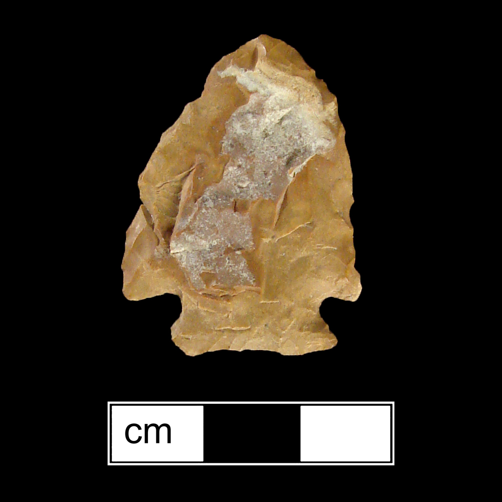 Image of stone projectile point made of Jasper, Corner-Notched shape, with a Expanding stem, Excurvate blade, and Concave base shape. Jacks Reef Corner Notched type.
