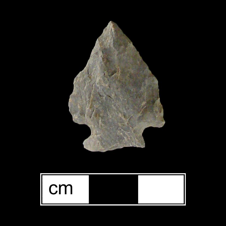 Image of stone projectile point made of Rhyolite, Corner-Notched shape, with a Expanding stem, Excurvate blade, and Straight base shape. Jacks Reef Corner Notched type.