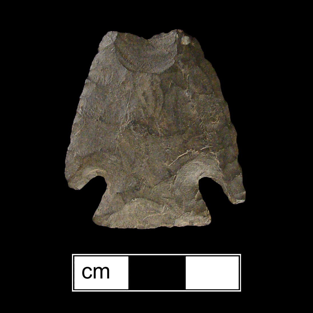 Image of stone projectile point made of Chert, Corner-Notched shape, with a Expanding stem, Excurvate blade, and Straight base shape. Jacks Reef Corner Notched type.