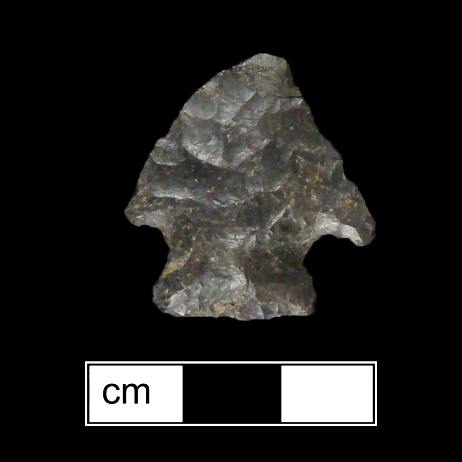 Image of stone projectile point made of Chert, Corner-Notched shape, with a Expanding stem, Excurvate blade, and Straight base shape. Jacks Reef Corner Notched type.