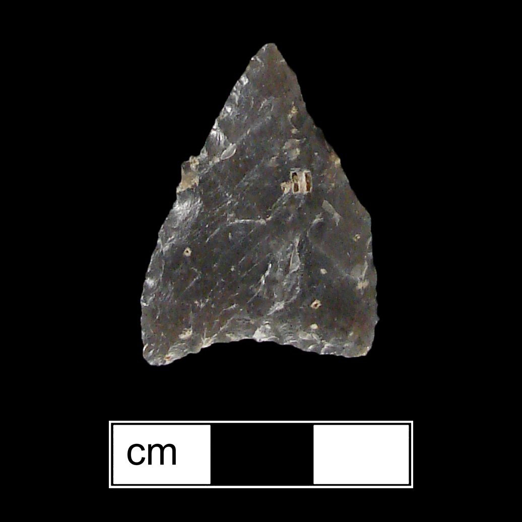 Image of stone projectile point made of Chert, Pentagonal shape, with a N/A stem, Excurvate blade, and Concave base shape. Jacks Reef Pentagonal type.