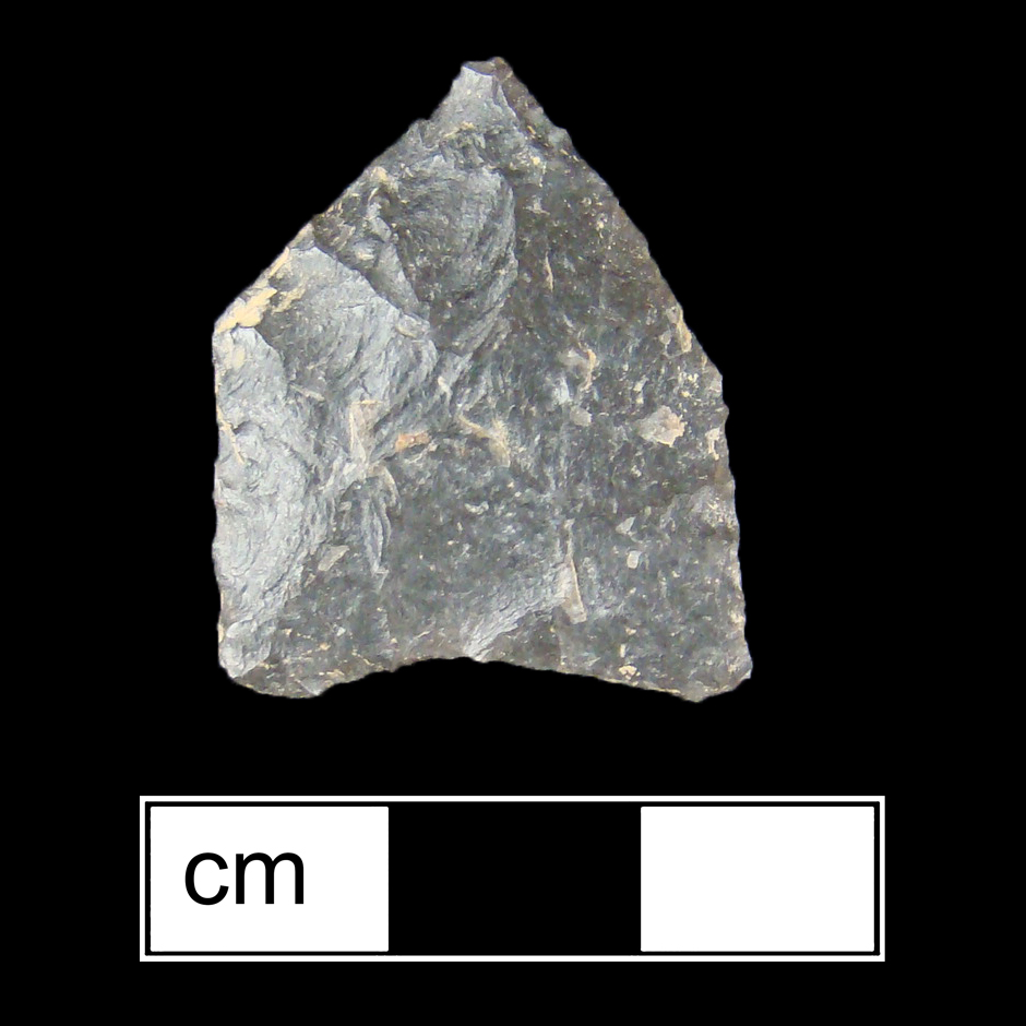 Image of stone projectile point made of Chert, Pentagonal shape, with a N/A stem, Excurvate blade, and Concave base shape. Jacks Reef Pentagonal type.