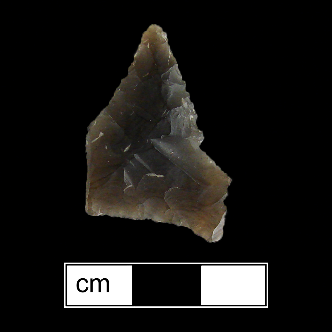 Image of stone projectile point made of Chert/Flint, Pentagonal shape, with a N/A stem, Incurvate blade, and Concave base shape. Jacks Reef Pentagonal type.