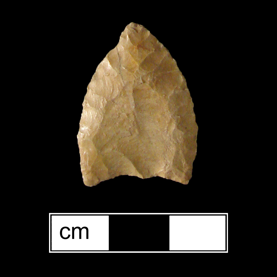 Image of stone projectile point made of Jasper, Lanceolate shape, with a N/A stem, Excurvate blade, and Concave base shape. Jacks Reef Pentagonal type.