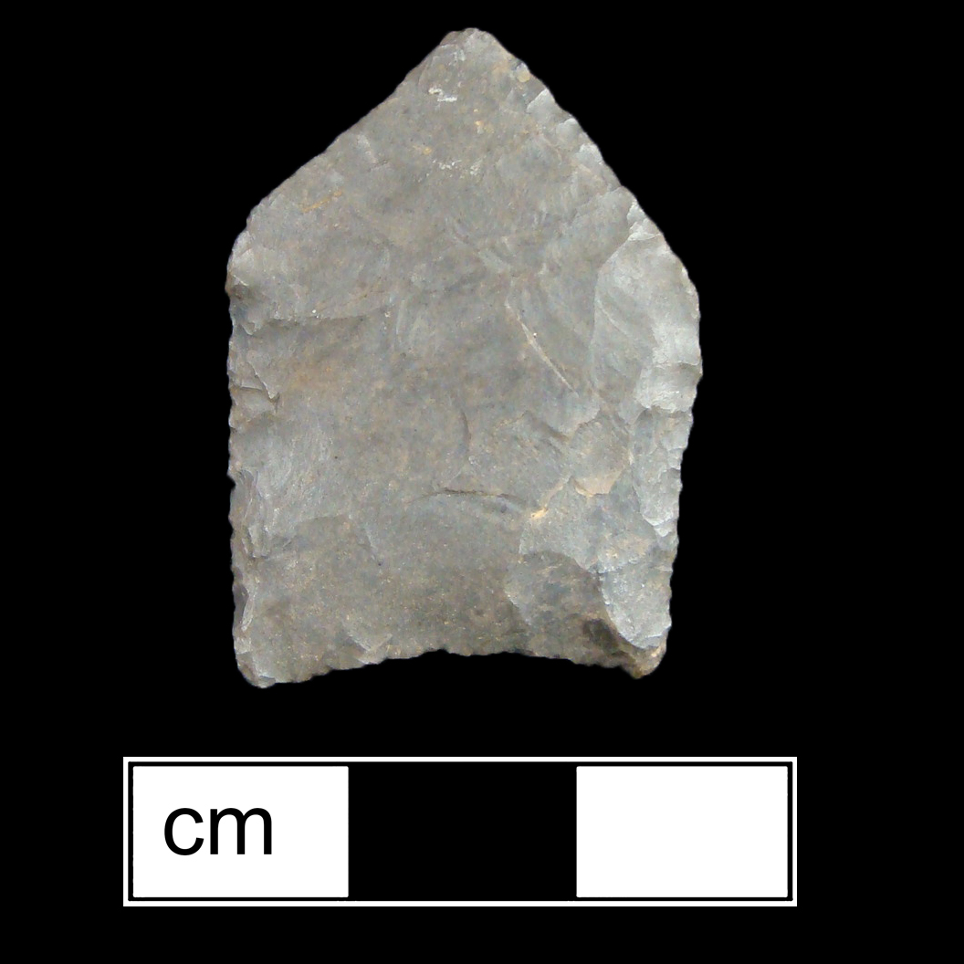 Image of stone projectile point made of Chert, Pentagonal shape, with a N/A stem, Excurvate blade, and Concave base shape. Jacks Reef Pentagonal type.