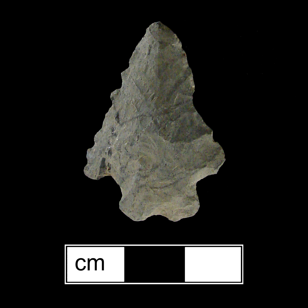 Image of stone projectile point made of Rhyolite, Stemmed/Bifurcate shape, with a Expanding stem, Straight blade, and Bifurcate base shape. Kanawha Stemmed type.