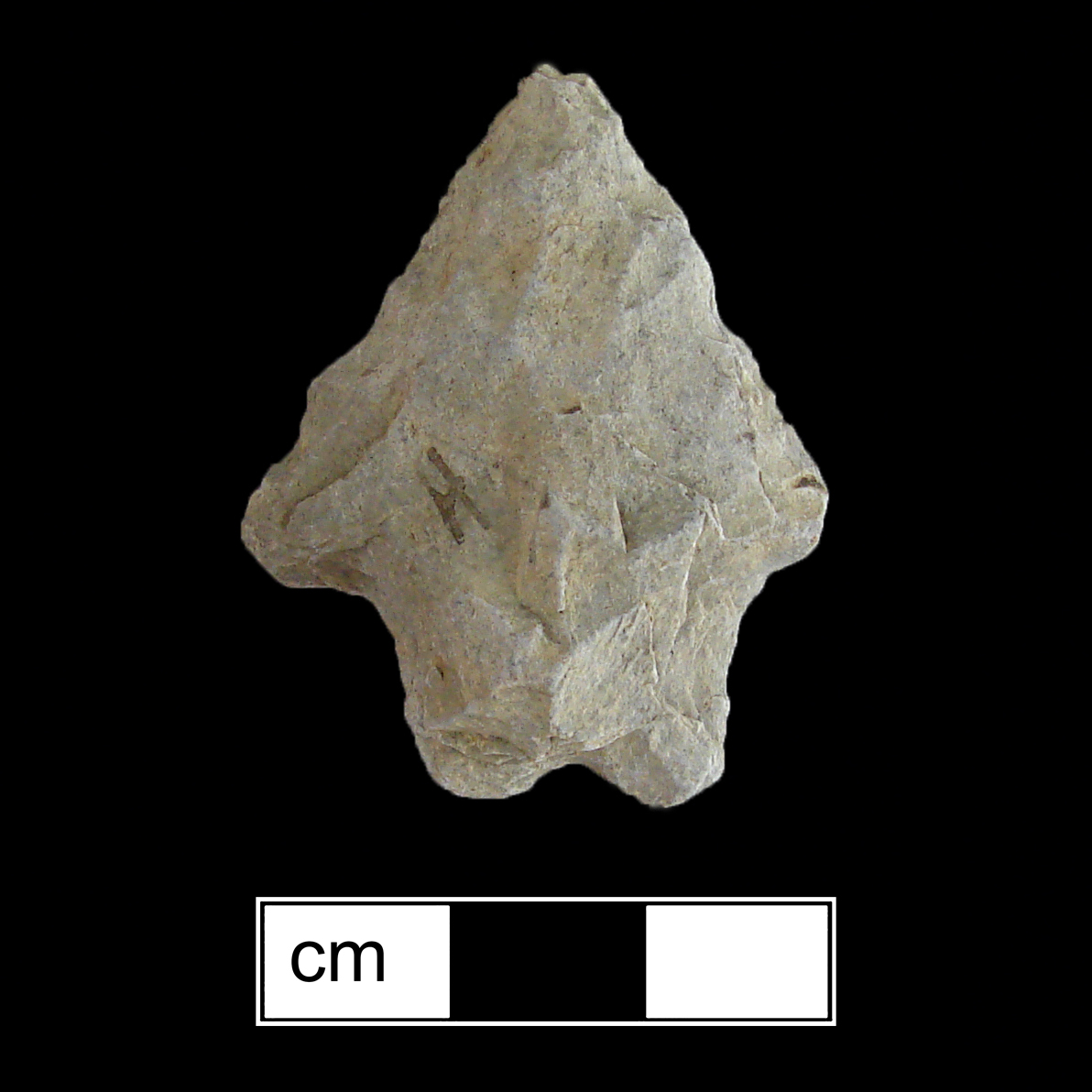 Image of stone projectile point made of Rhyolite, Stemmed/Bifurcate shape, with a Straight stem, Straight blade, and Bifurcate base shape. Kanawha Stemmed type.