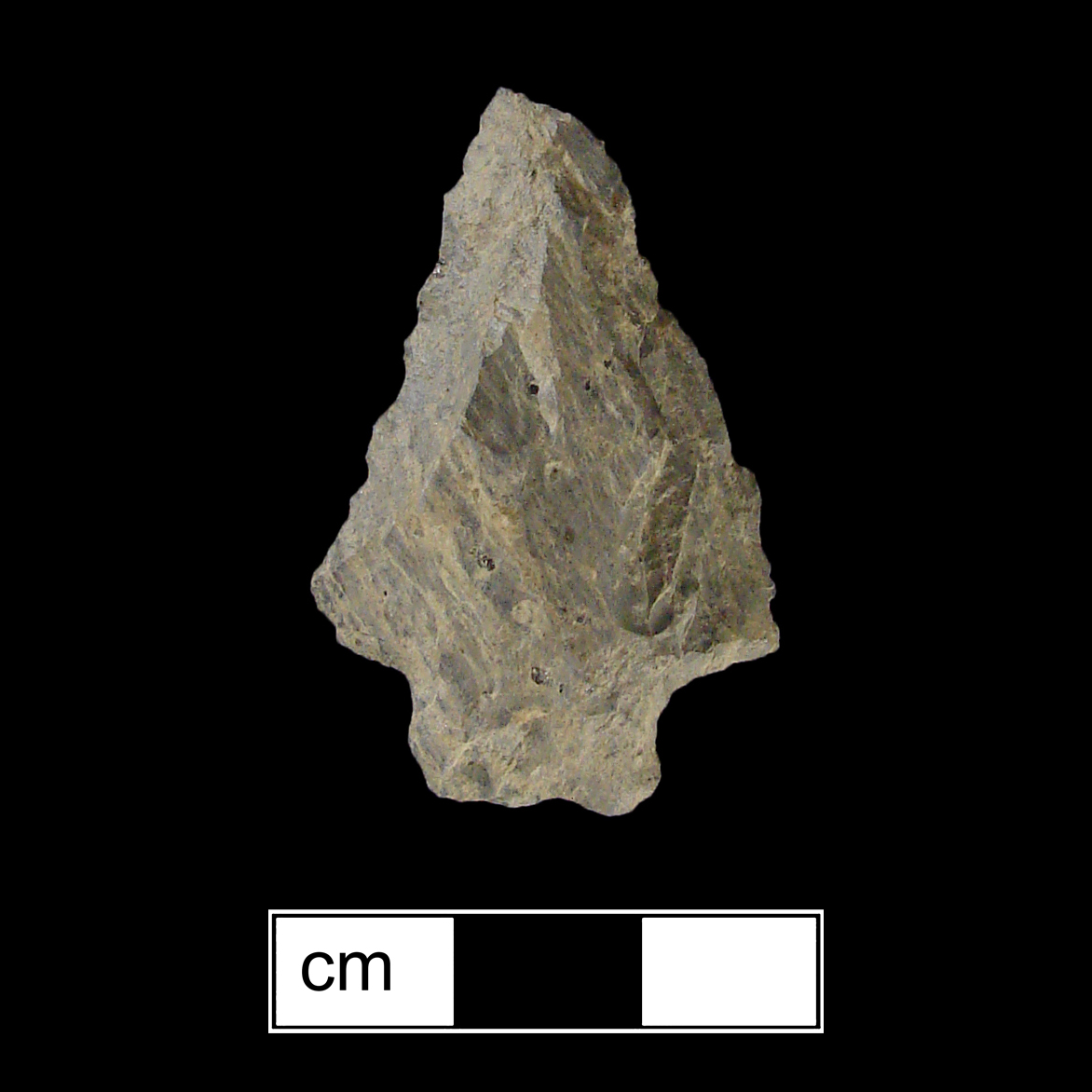Image of stone projectile point made of Rhyolite, Stemmed/Bifurcate shape, with a Straight stem, Straight blade, and Straight base shape. Kanawha Stemmed type.