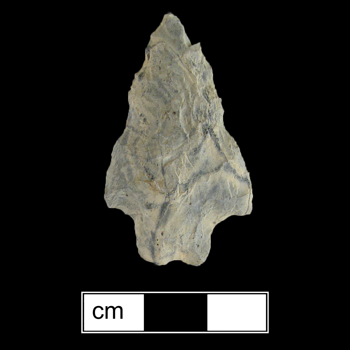 Image of stone projectile point made of Rhyolite, Stemmed/Bifurcate shape, with a Straight stem, Straight blade, and Bifurcate base shape. Kanawha Stemmed type.