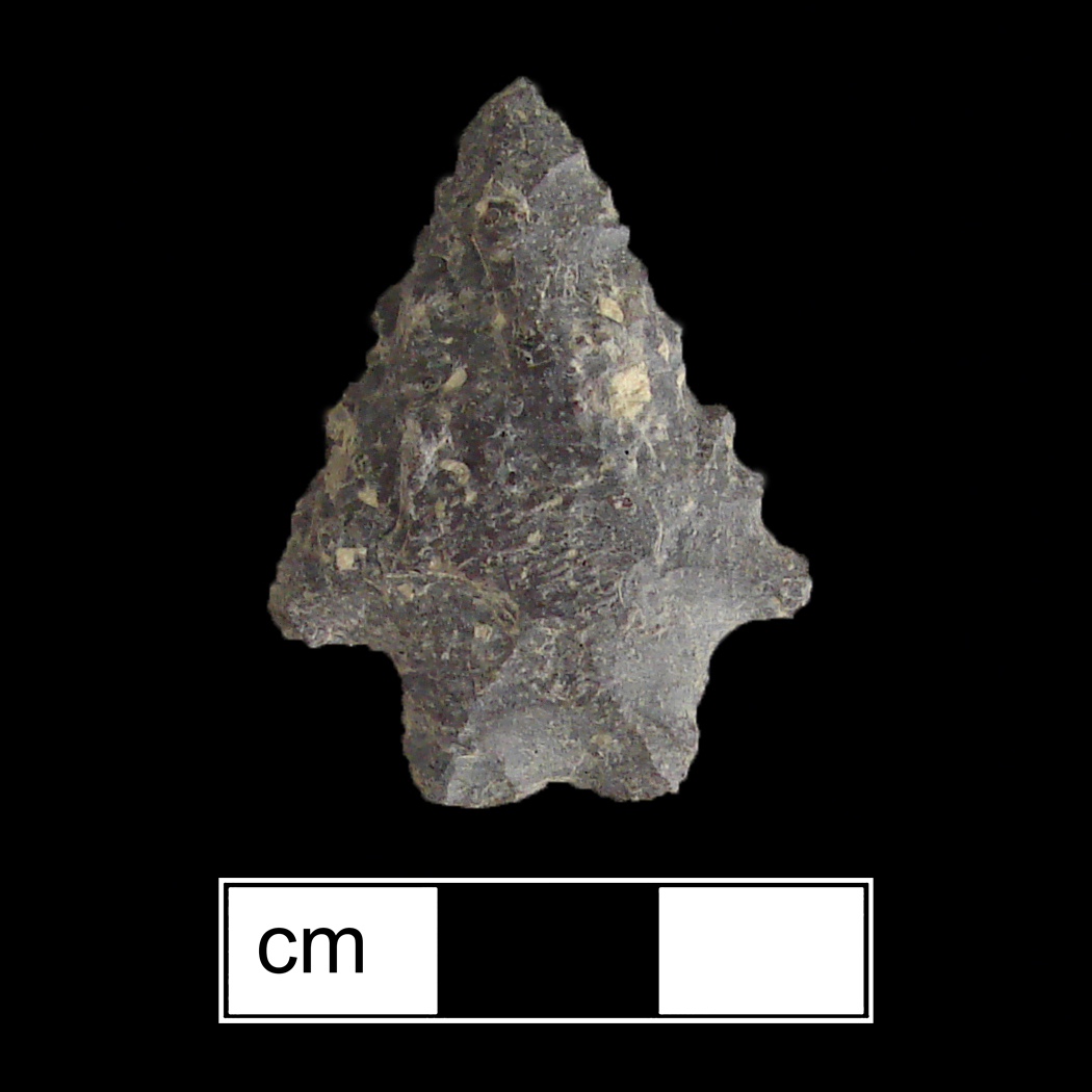 Image of stone projectile point made of Rhyolite, Stemmed/Bifurcate shape, with a Straight stem, Straight blade, and Bifurcate base shape. Kanawha Stemmed type.