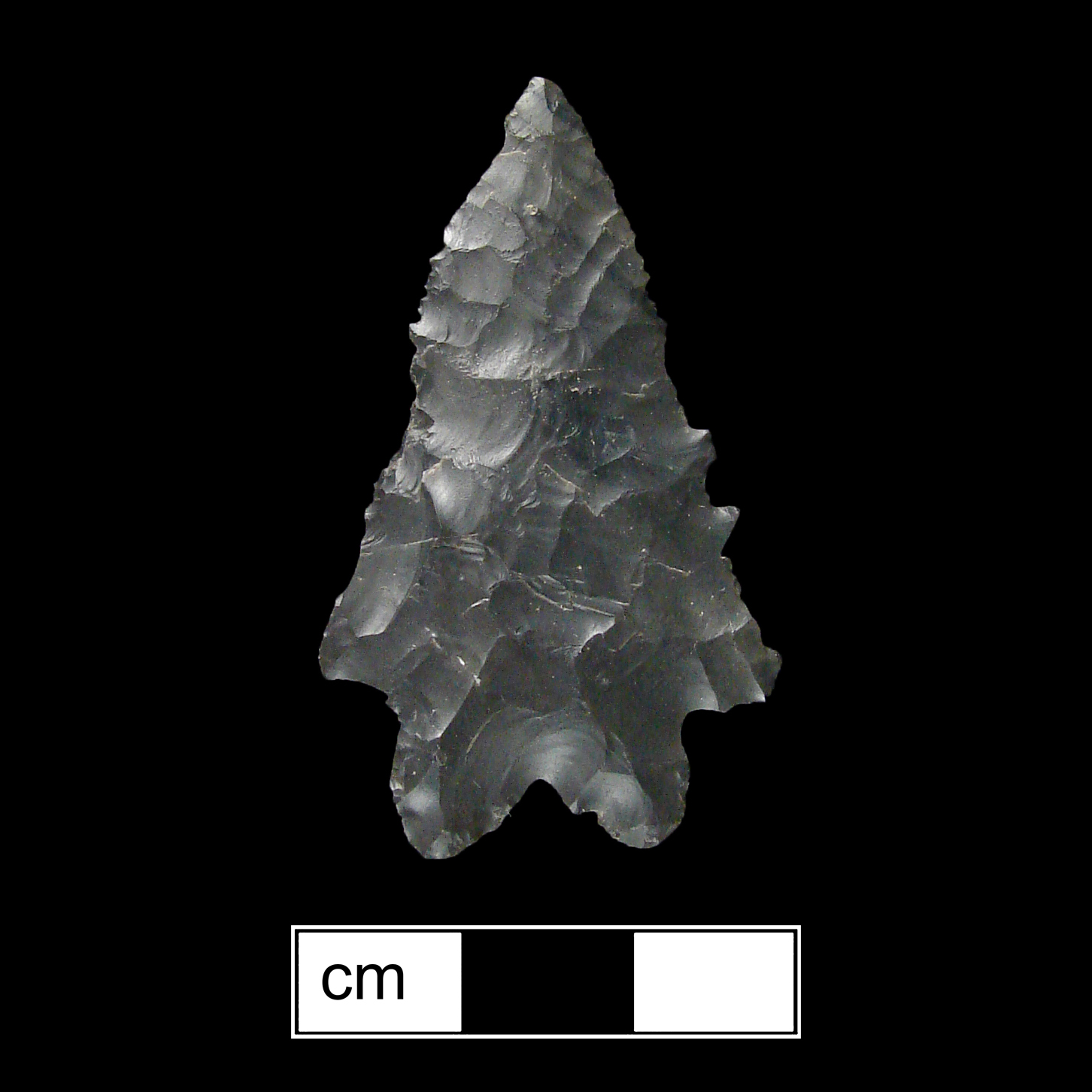 Image of stone projectile point made of Chert, Stemmed/Bifurcate shape, with a Expanding stem, Straight blade, and Bifurcate base shape. Kanawha Stemmed type.