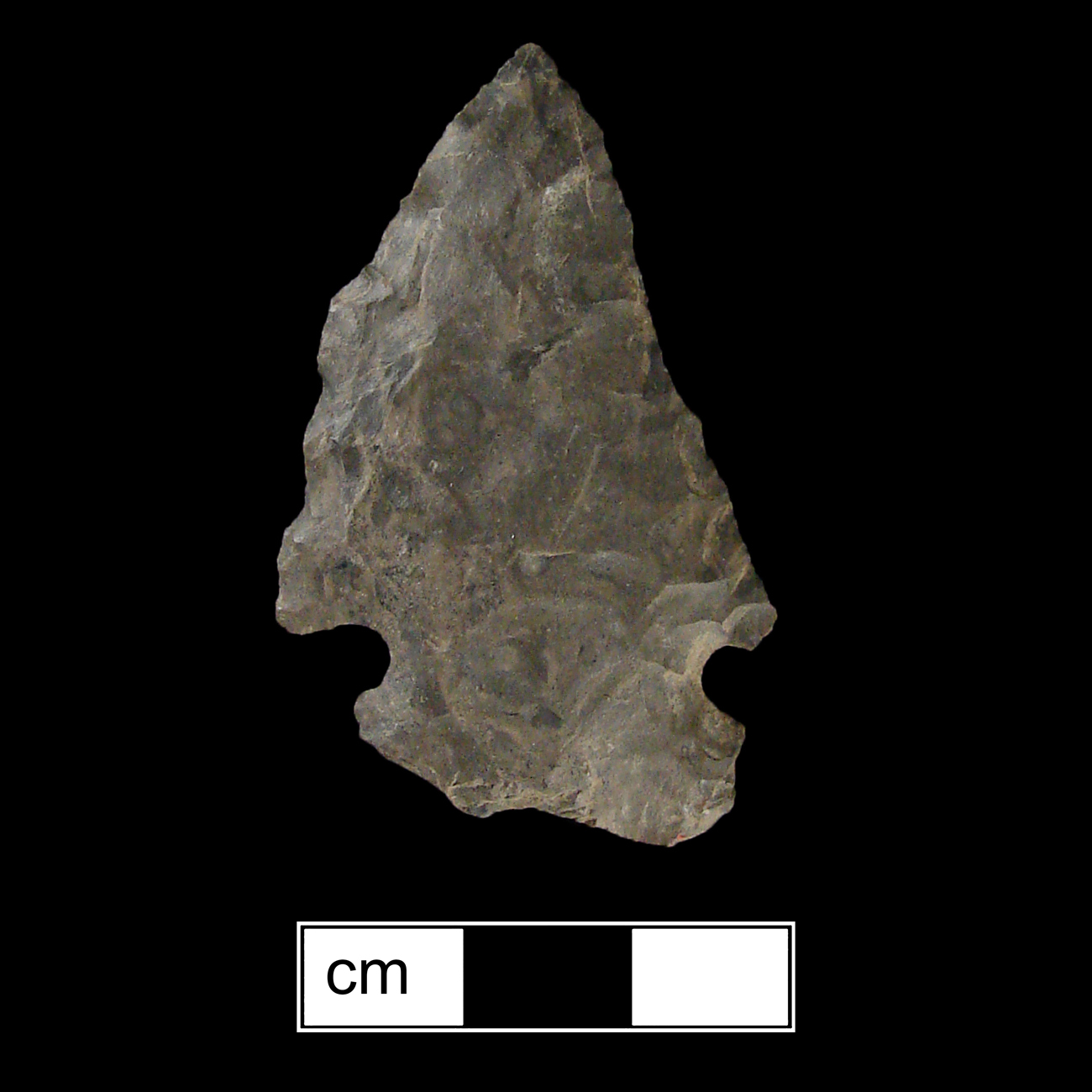 Image of stone projectile point made of Chert, Corner-Notched shape, with a Expanding stem, Excurvate blade, and Concave base shape. Kirk Corner Notched type.