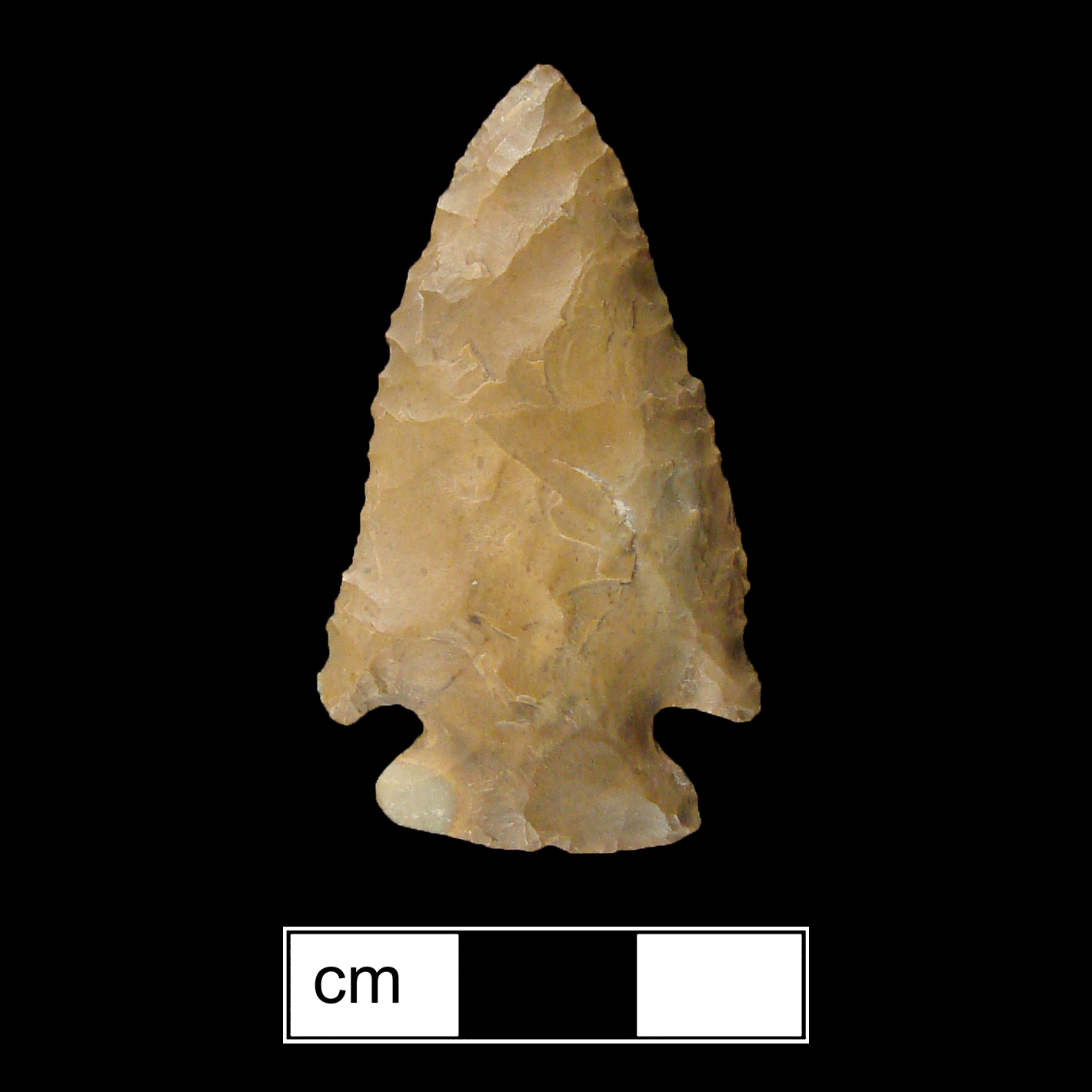Image of stone projectile point made of Jasper, Corner-Notched shape, with a Expanding stem, Excurvate blade, and Convex base shape. Kirk Corner Notched type.