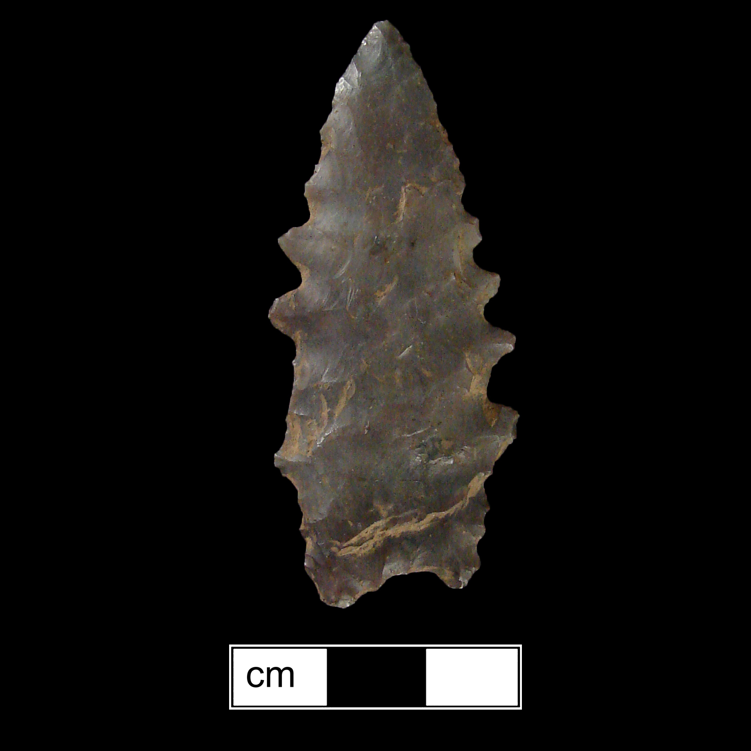 Image of stone projectile point made of Chert, Stemmed shape, with a Straight stem, Serrated-Excurvate blade, and Concave base shape. Kirk Serrated type.