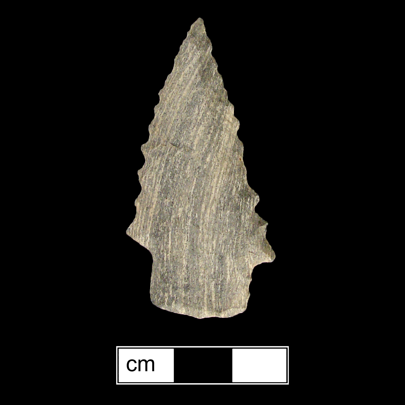 Image of stone projectile point made of Rhyolite, Stemmed shape, with a Straight stem, Serrated-Straight blade, and Convex base shape. Kirk Stemmed type.