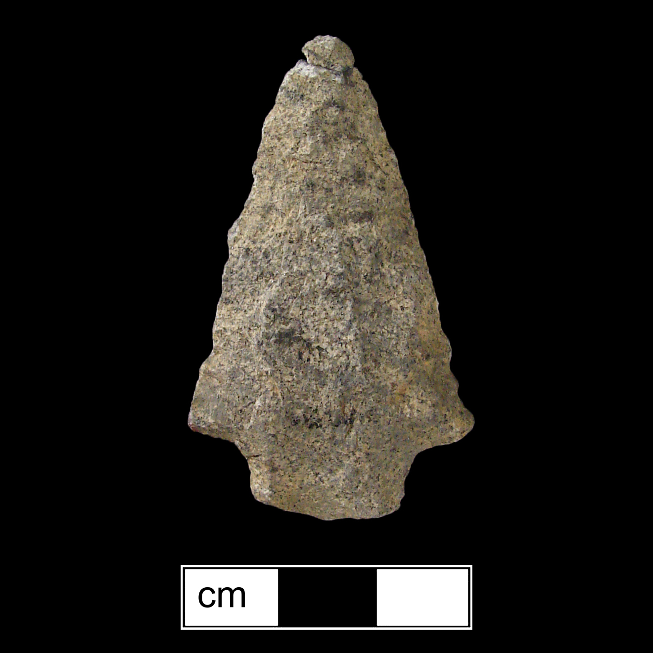 Image of stone projectile point made of Rhyolite, Stemmed shape, with a Straight stem, Straight blade, and Convex base shape. Kirk Stemmed type.