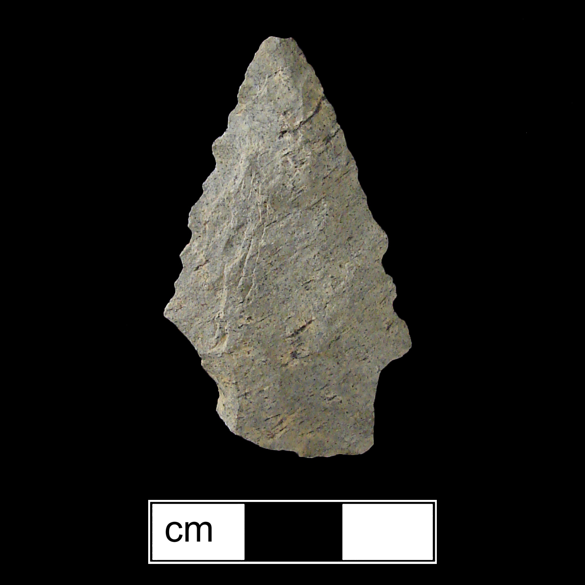 Image of stone projectile point made of Rhyolite, Stemmed shape, with a Straight stem, Straight blade, and Straight base shape. Kirk Stemmed type.
