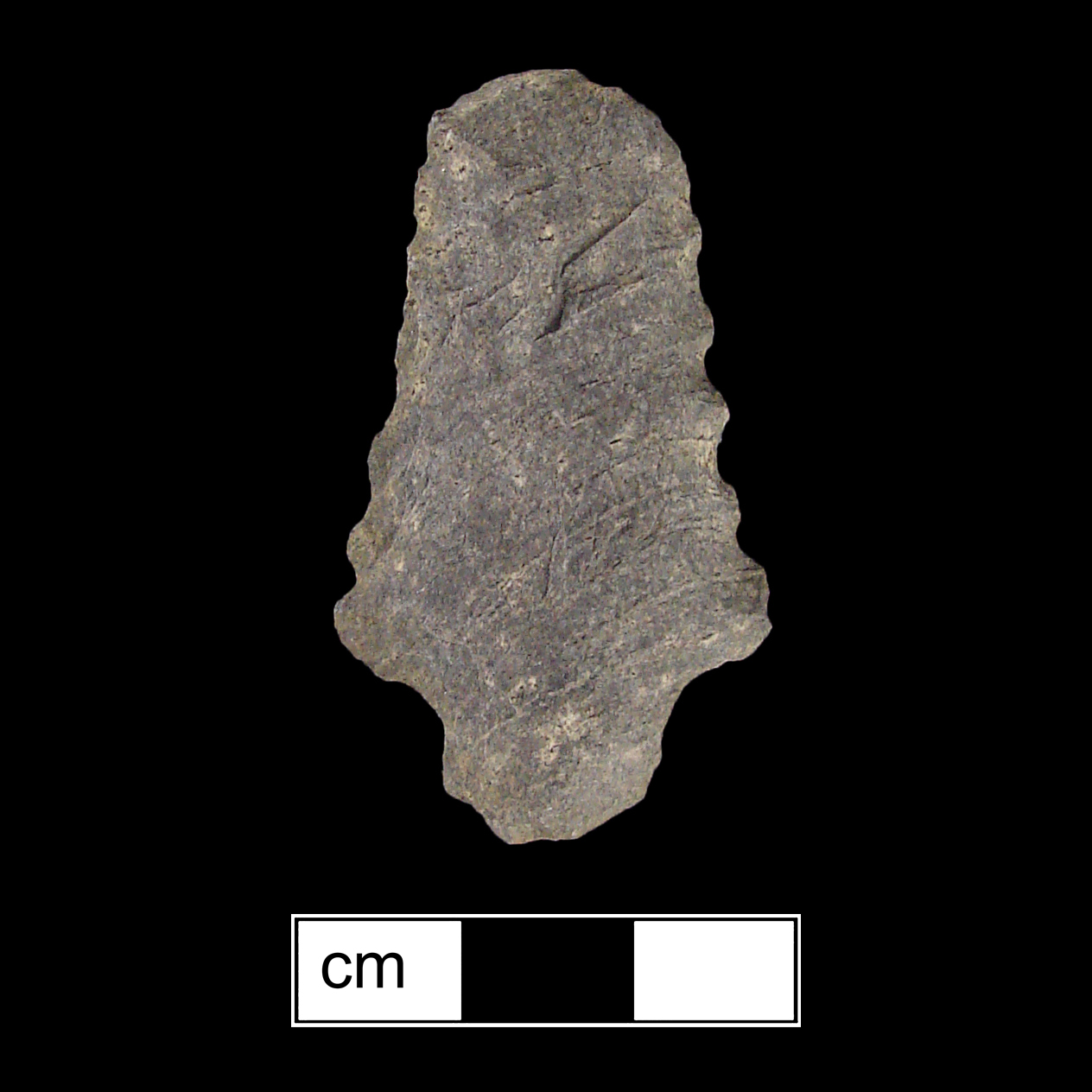 Image of stone projectile point made of Rhyolite, Stemmed shape, with a Straight stem, Serrated-Incurvate blade, and Convex base shape. Kirk Stemmed type.