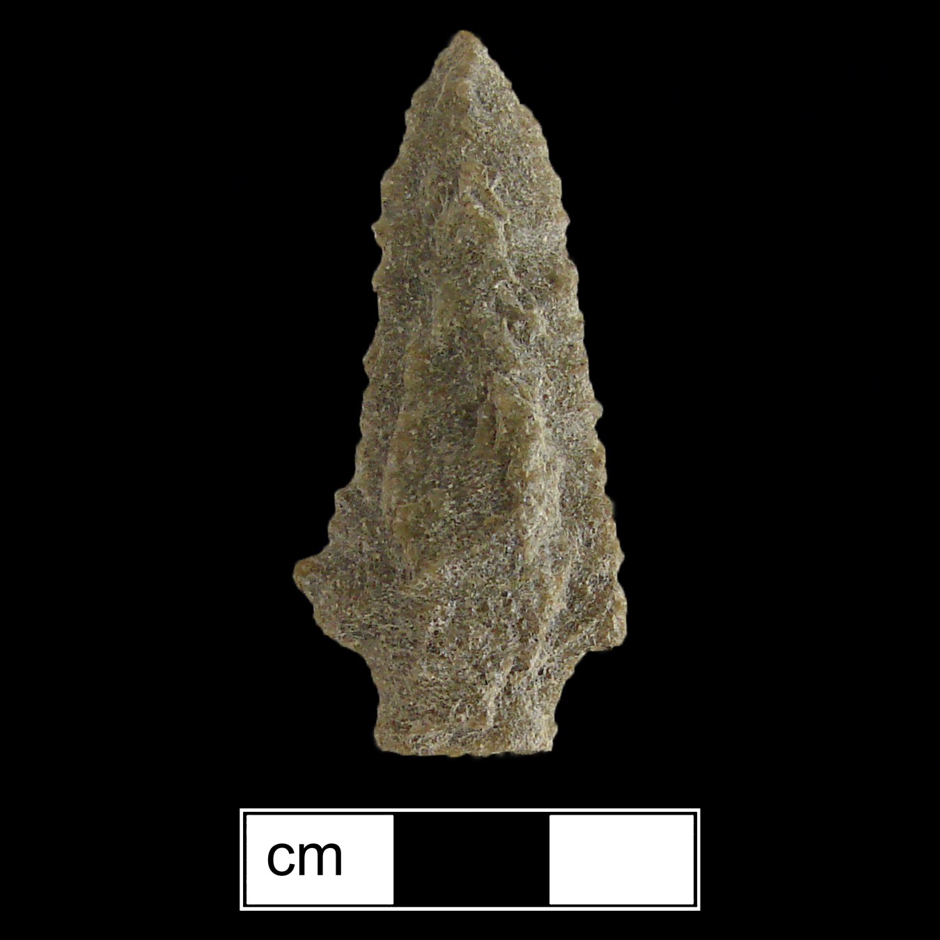 Image of stone projectile point made of Quartzite, Stemmed shape, with a Straight stem, Straight blade, and Straight base shape. Kirk Stemmed type.