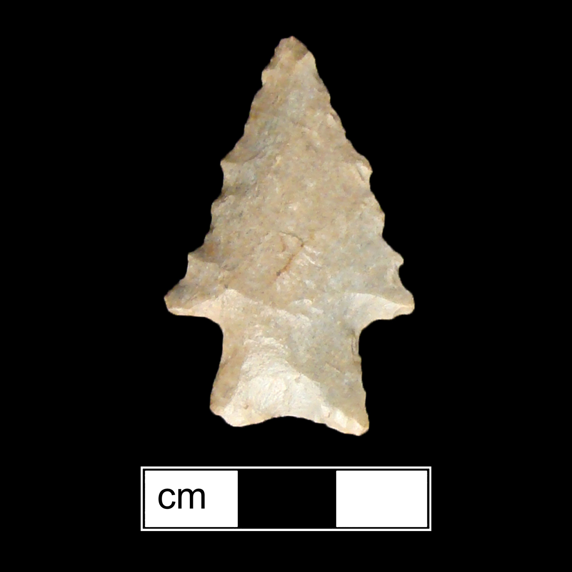 Image of stone projectile point made of Chert, Stemmed shape, with a Straight stem, Serrated-Straight blade, and Concave base shape. Kirk Stemmed type.