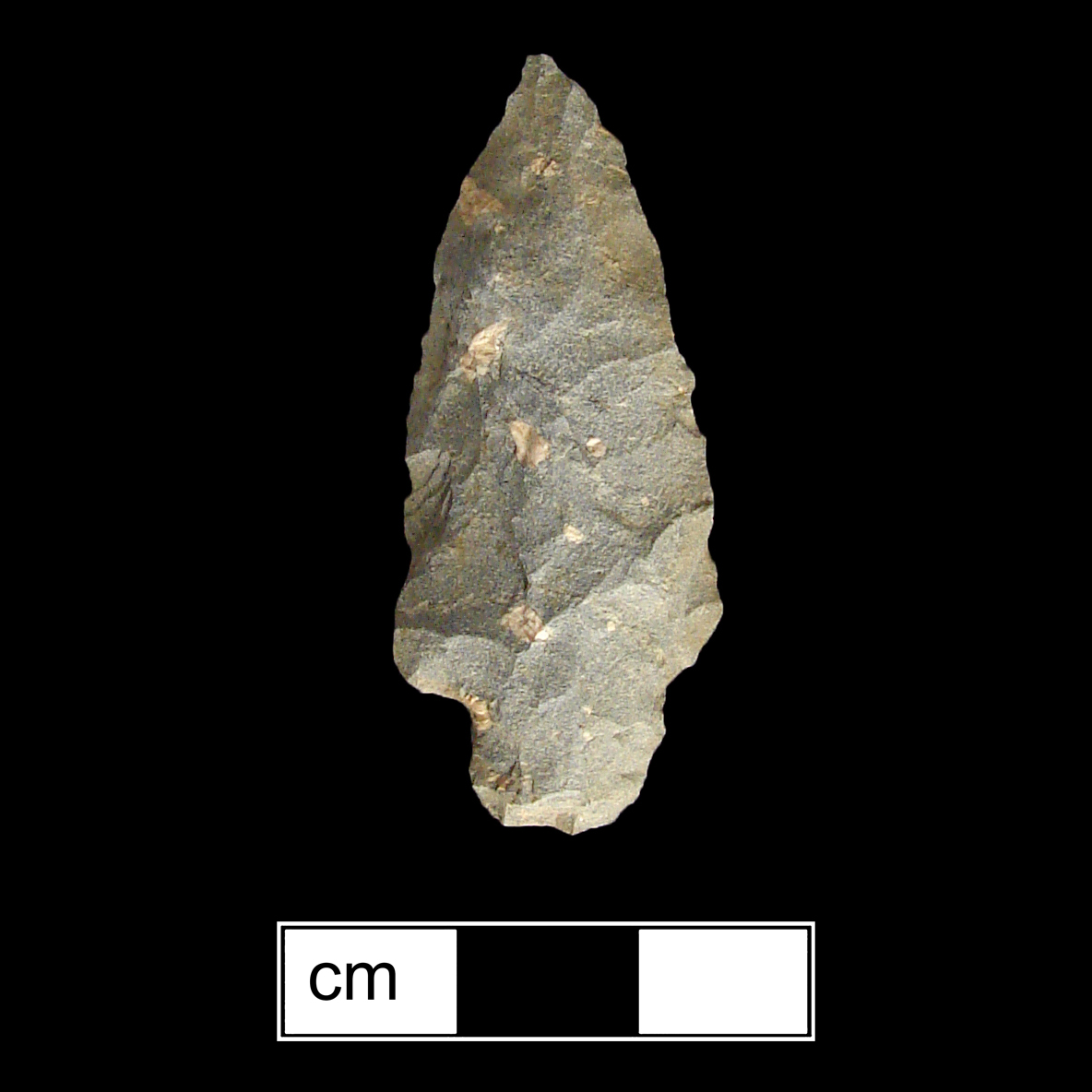 Image of stone projectile point made of Rhyolite, Stemmed shape, with a Straight stem, Excurvate blade, and Straight base shape. Lamoka type.
