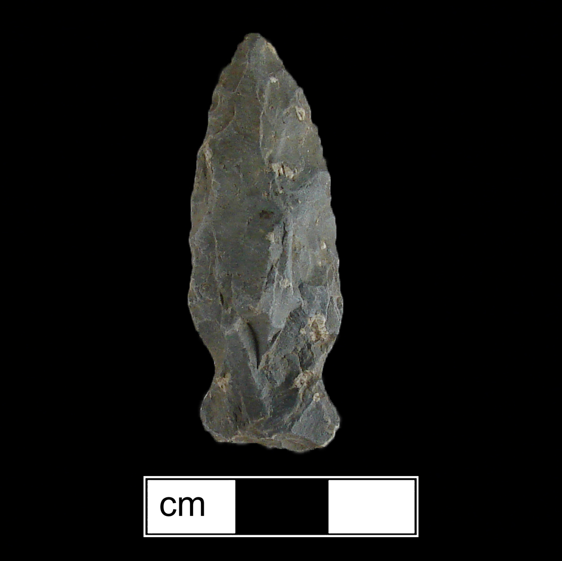 Image of stone projectile point made of Rhyolite, Side-Notched shape, with a Expanding stem, Excurvate blade, and Concave base shape. Lamoka type.