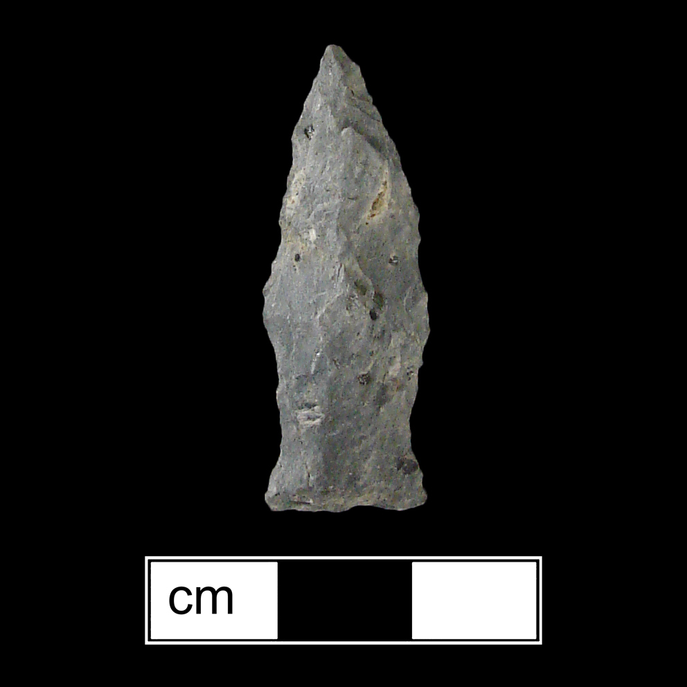 Image of stone projectile point made of Rhyolite, Side-Notched shape, with a Expanding stem, Excurvate blade, and Straight base shape. Lamoka type.