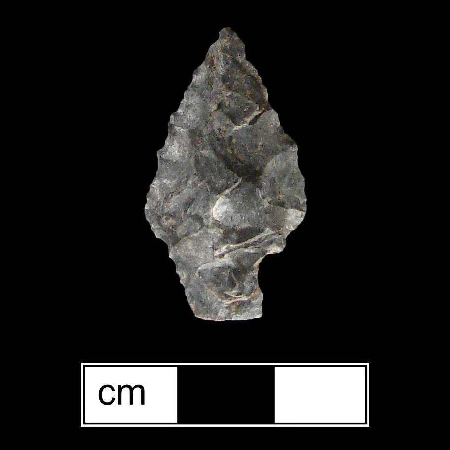 Image of stone projectile point made of Chert, Stemmed shape, with a Contracting stem, Excurvate blade, and Straight base shape. Lamoka type.