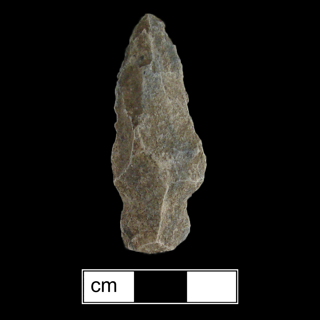Image of stone projectile point made of Quartzite, Side-Notched shape, with a Expanding stem, Excurvate blade, and Straight base shape. Lamoka type.