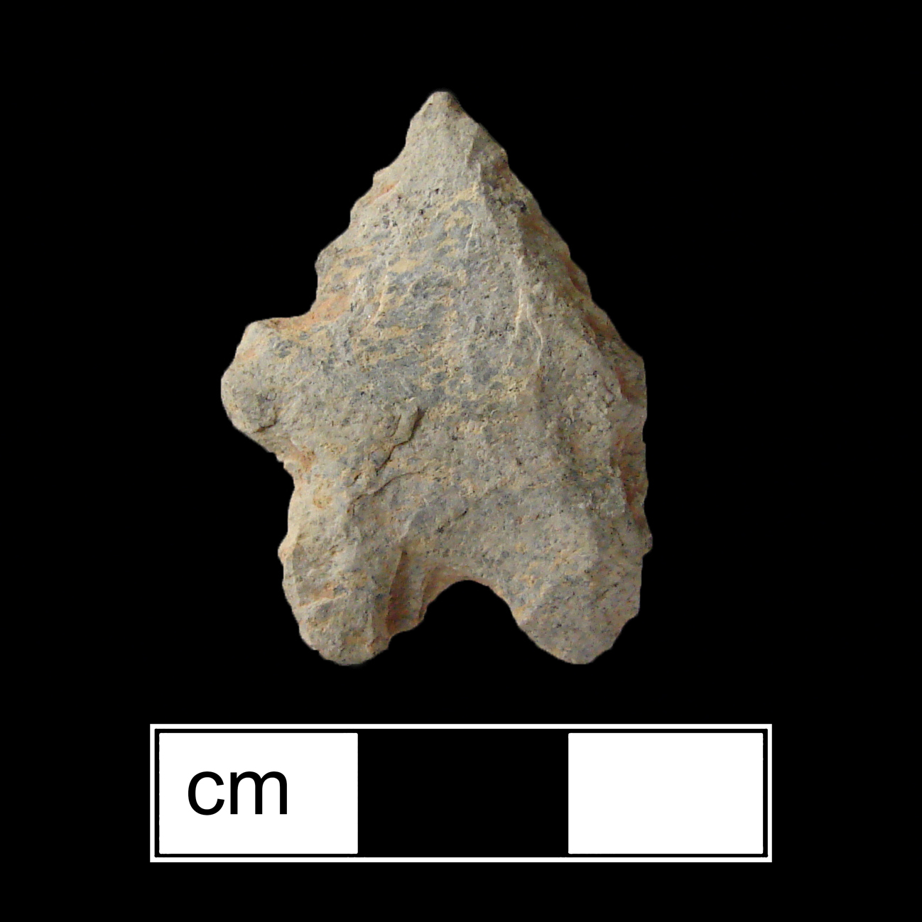 Image of stone projectile point made of Rhyolite, Bifurcate shape, with a Expanding stem, Straight blade, and Bifurcate base shape. LeCroy type.