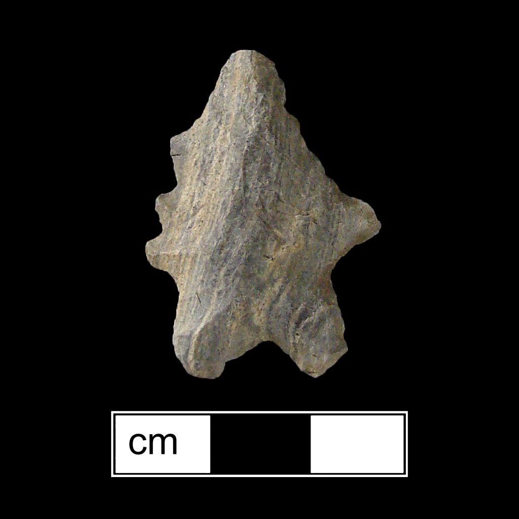 Image of stone projectile point made of Rhyolite, Bifurcate shape, with a Expanding stem, Serrated-Straight blade, and Bifurcate base shape. LeCroy type.