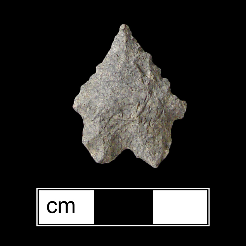 Image of stone projectile point made of Rhyolite, Bifurcate shape, with a Expanding stem, Straight blade, and Bifurcate base shape. LeCroy type.
