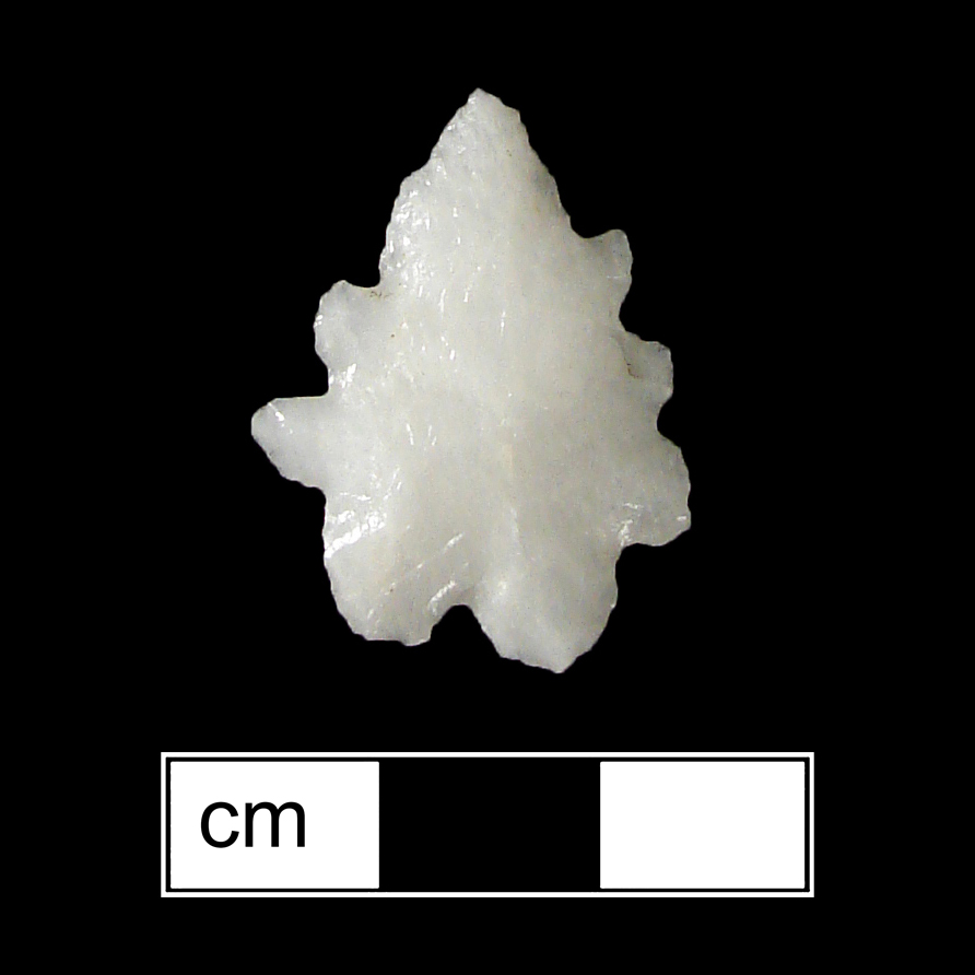 Image of stone projectile point made of Quartz, Bifurcate shape, with a Expanding stem, Serrated-Straight blade, and Bifurcate base shape. LeCroy type.