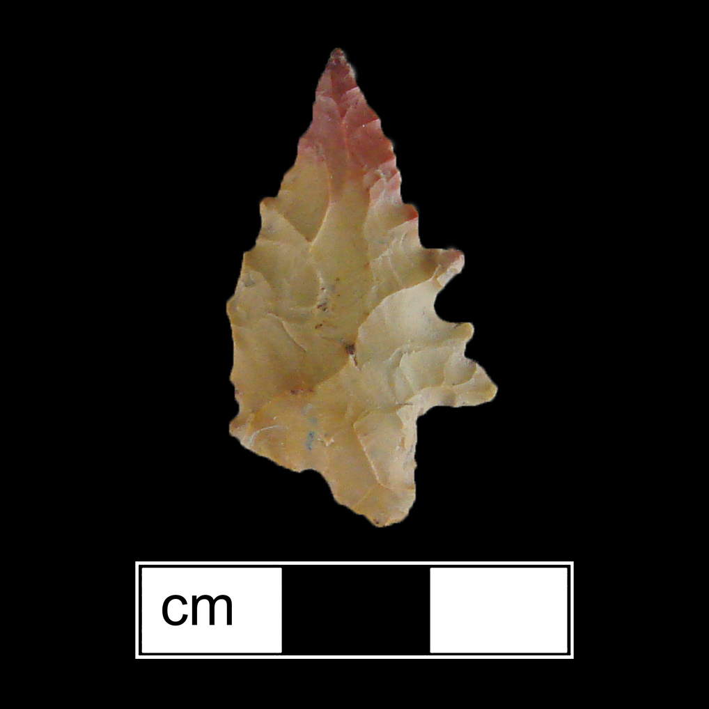 Image of stone projectile point made of Jasper, Bifurcate shape, with a Expanding stem, Serrated-Straight blade, and Bifurcate base shape. LeCroy type.