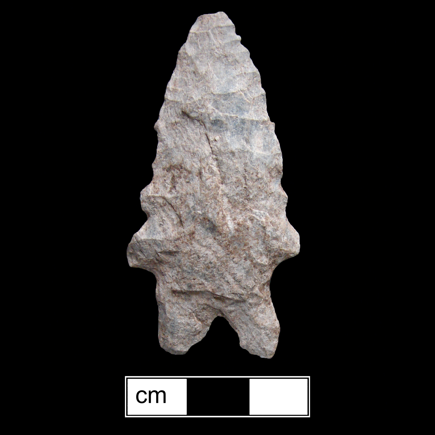 Image of stone projectile point made of Rhyolite, Bifurcate shape, with a Expanding stem, Serrated-Straight blade, and Bifurcate base shape. LeCroy type.