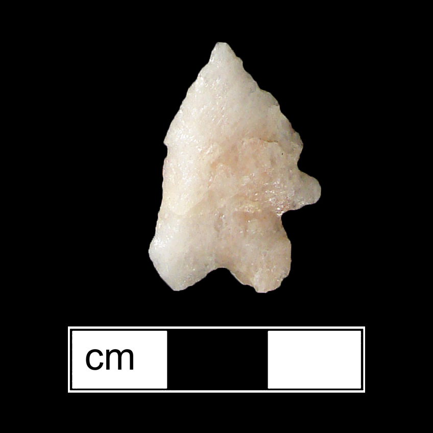 Image of stone projectile point made of Quartz, Bifurcate shape, with a Expanding stem, Serrated-Straight blade, and Bifurcate base shape. LeCroy type.