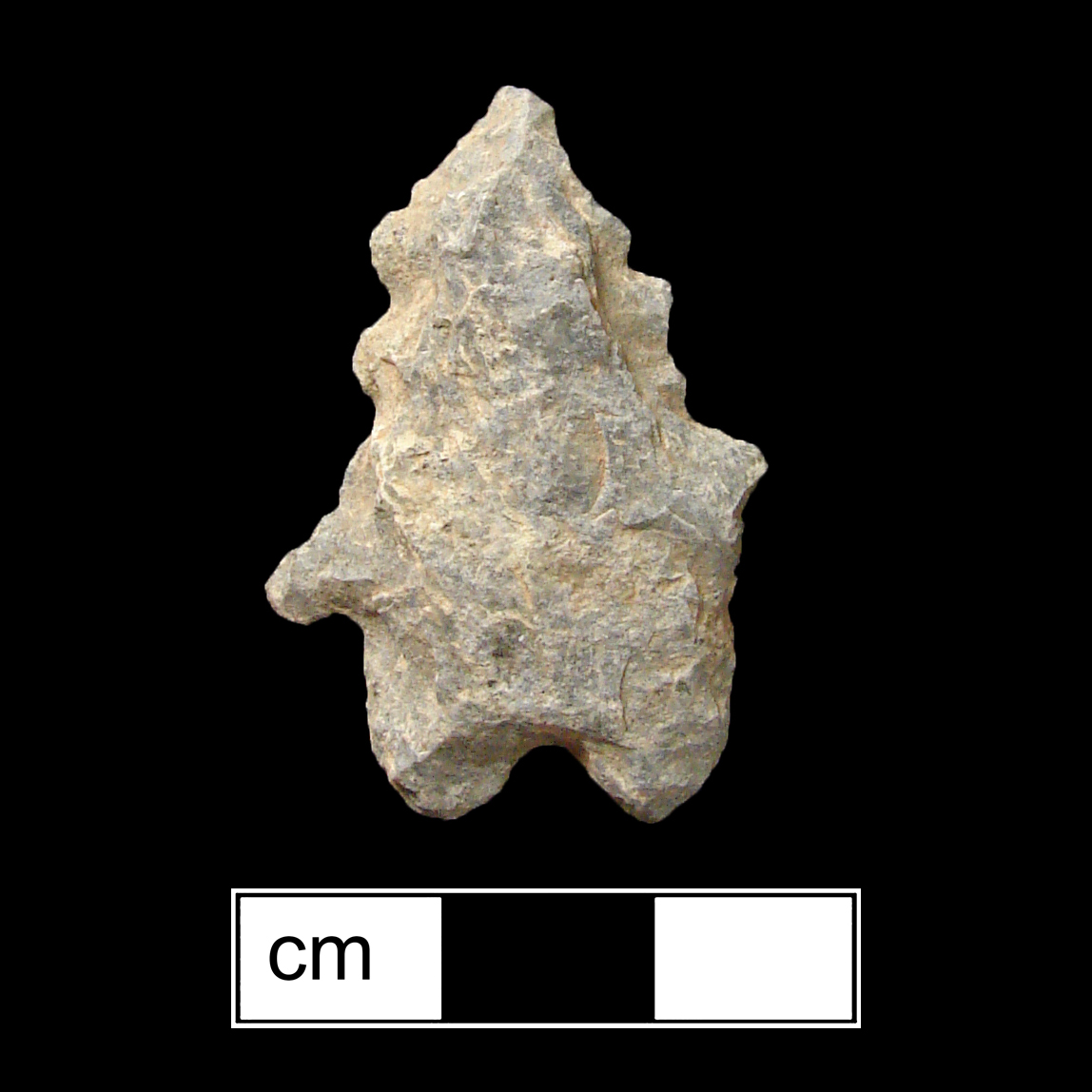 Image of stone projectile point made of Rhyolite, Bifurcate shape, with a Expanding stem, Serrated-Straight blade, and Bifurcate base shape. LeCroy type.