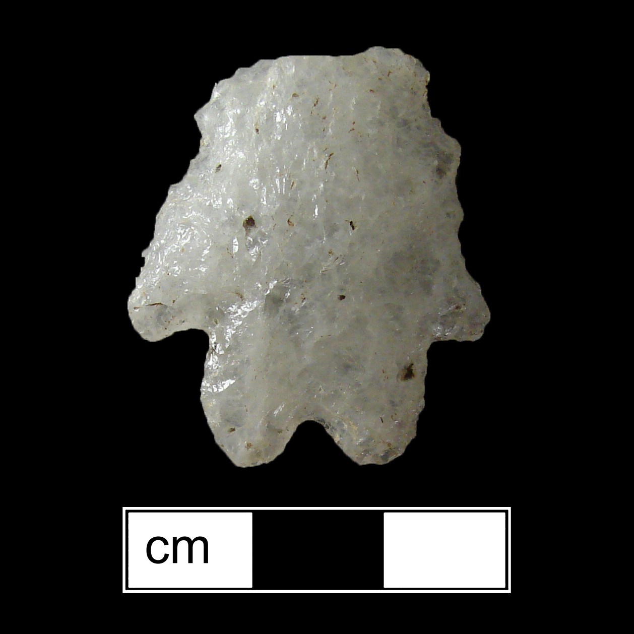 Image of stone projectile point made of Quartz, Bifurcate shape, with a Expanding stem, Serrated-Straight blade, and Bifurcate base shape. LeCroy type.